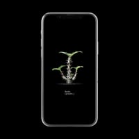 【スマホ壁紙】パキポディウム ウィンゾリー