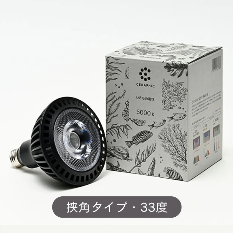 【たかはし様用】WORMED / Planisphaerium Zoomed Terrarium Skyscaper