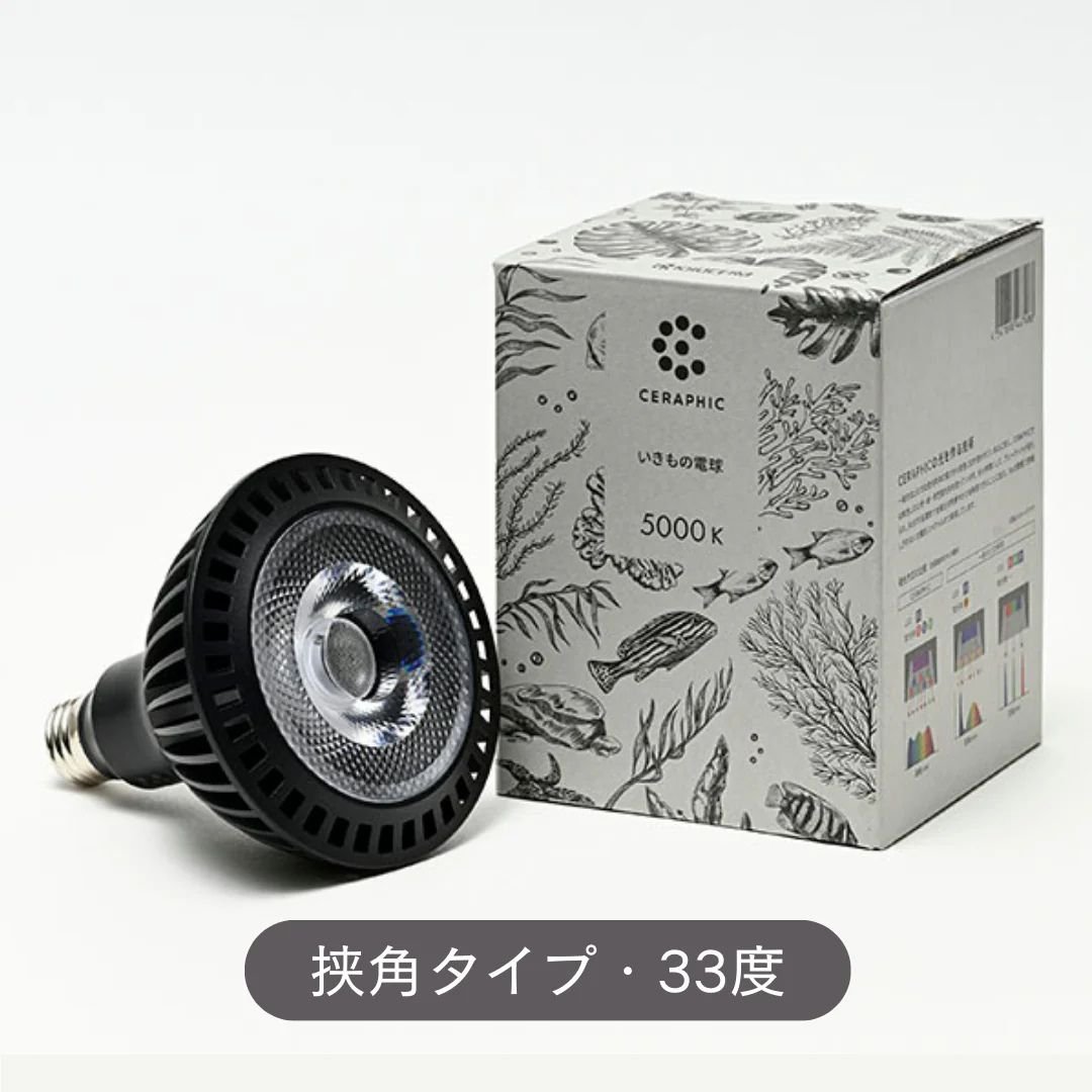 CERAPHIC いきもの電球 【挟角タイプ 33度】 | Ducks ( plants. )