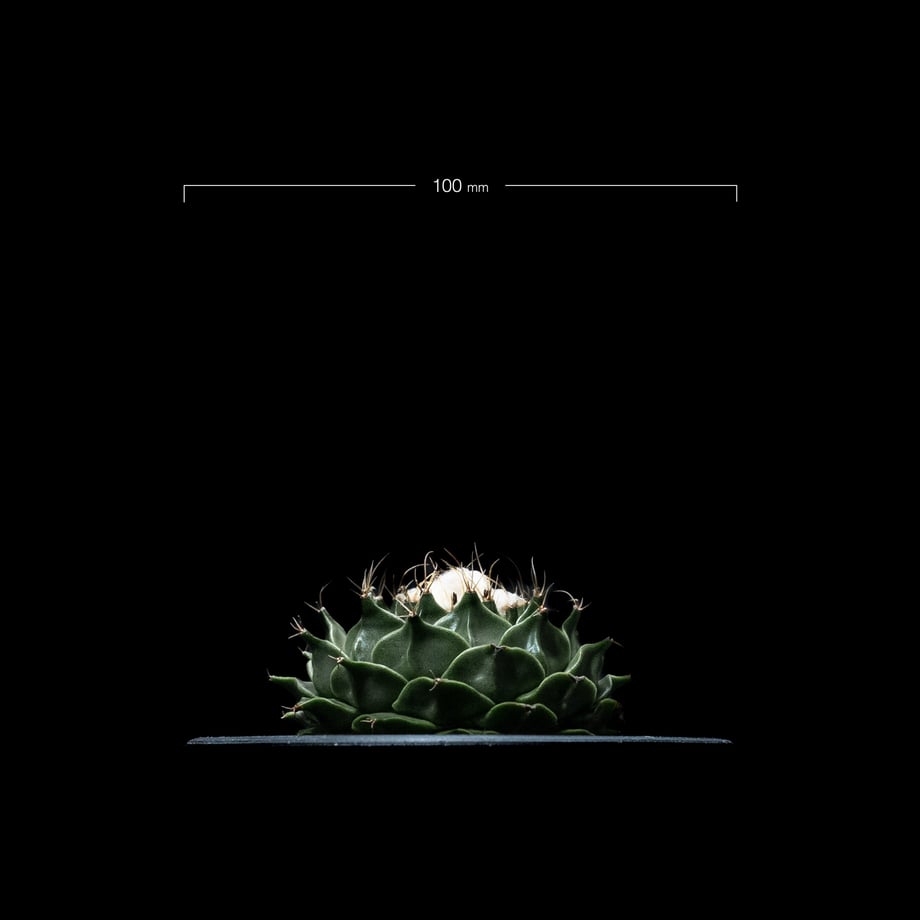 64f71ef0a3a20c002e19b05d