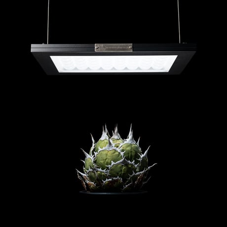 BARREL LED ROKI‐350【送料無料】