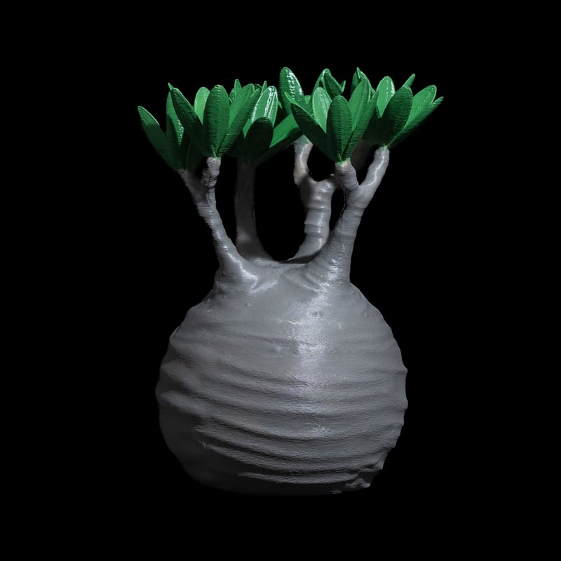 LOBINDON グラキリスフィギュアB フルカラー | Ducks ( plants. )