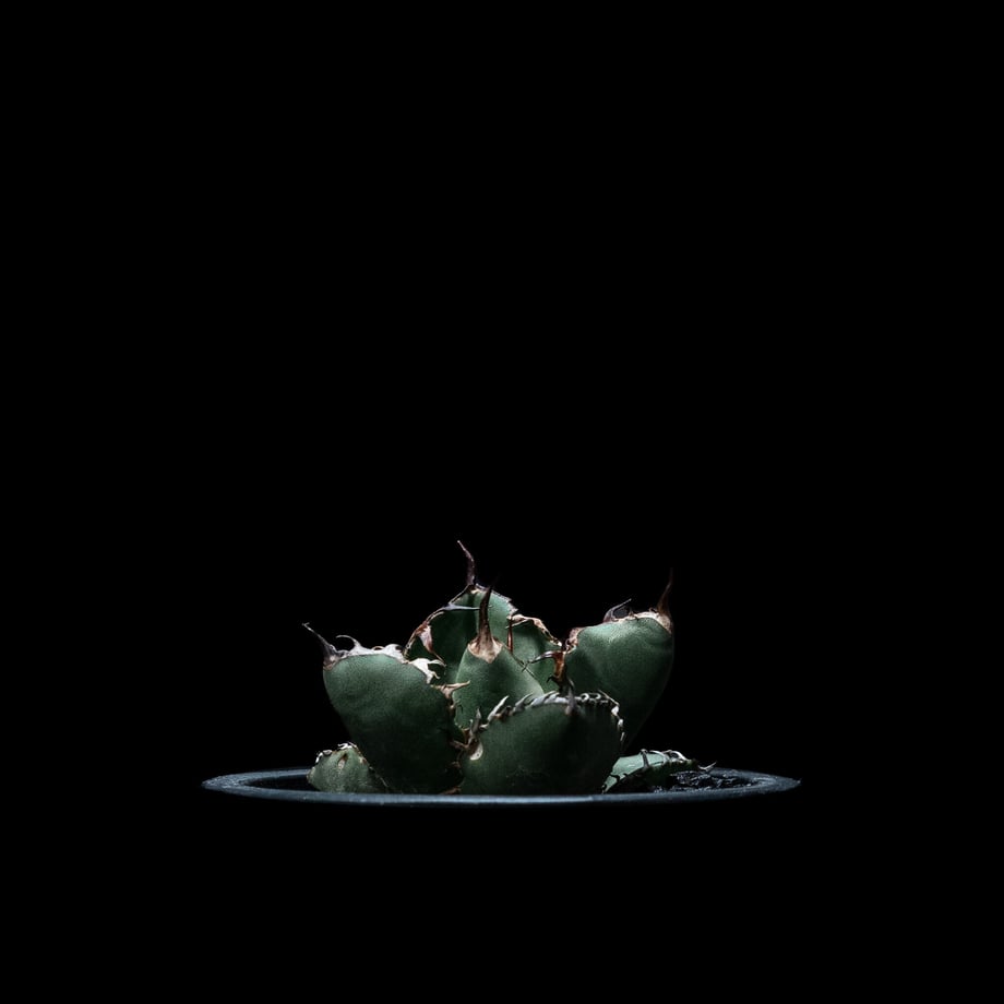 651f6936956c0c0031f0f4d7