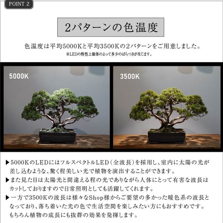 BARREL LED HADES【送料無料】