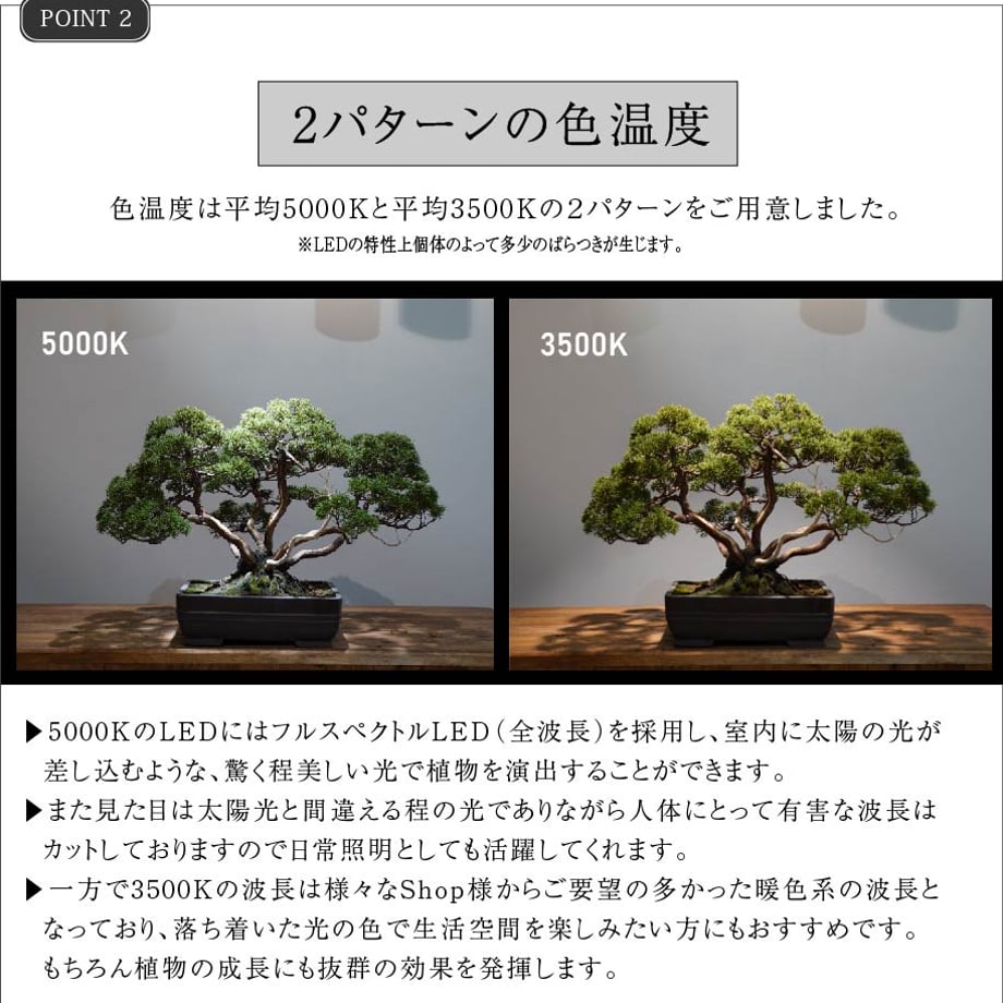 654221fa24537c00359ae7aa