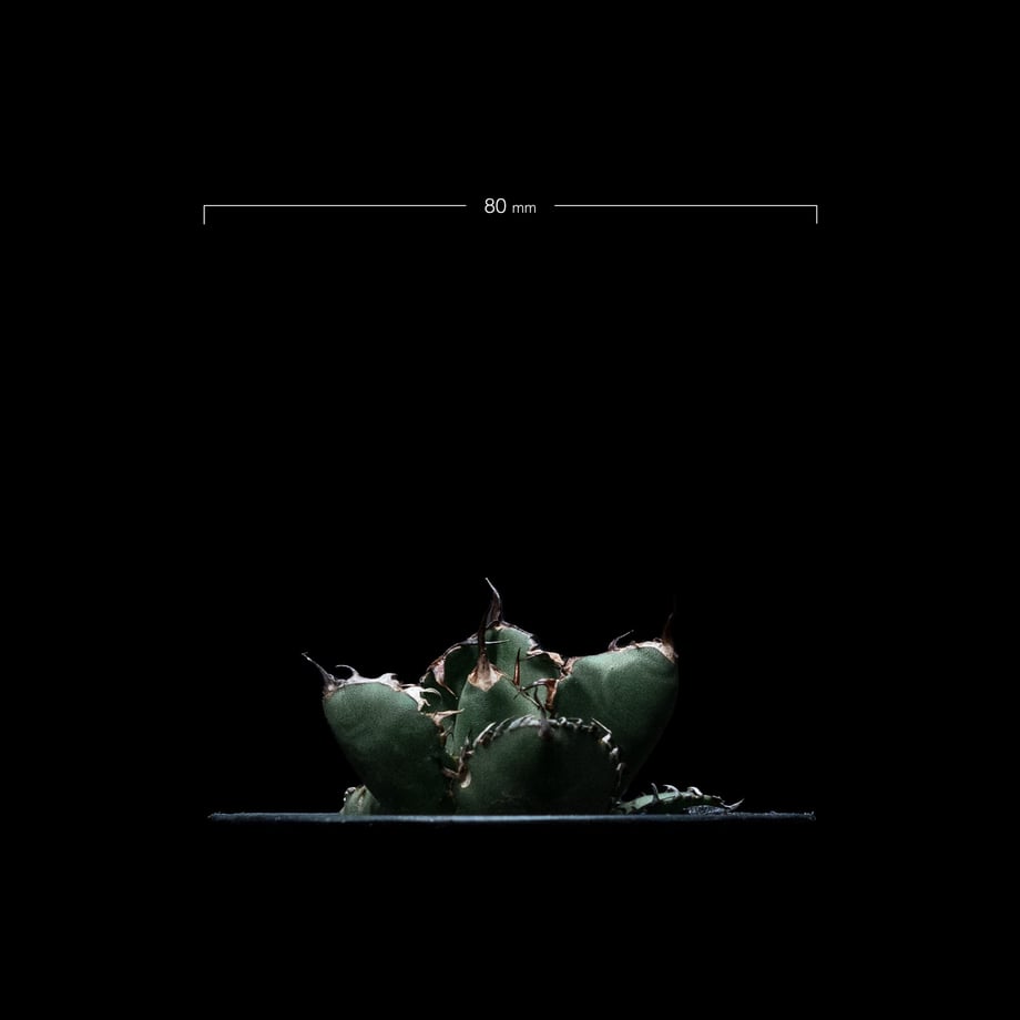 651f6936956c0c0031f0f4d7