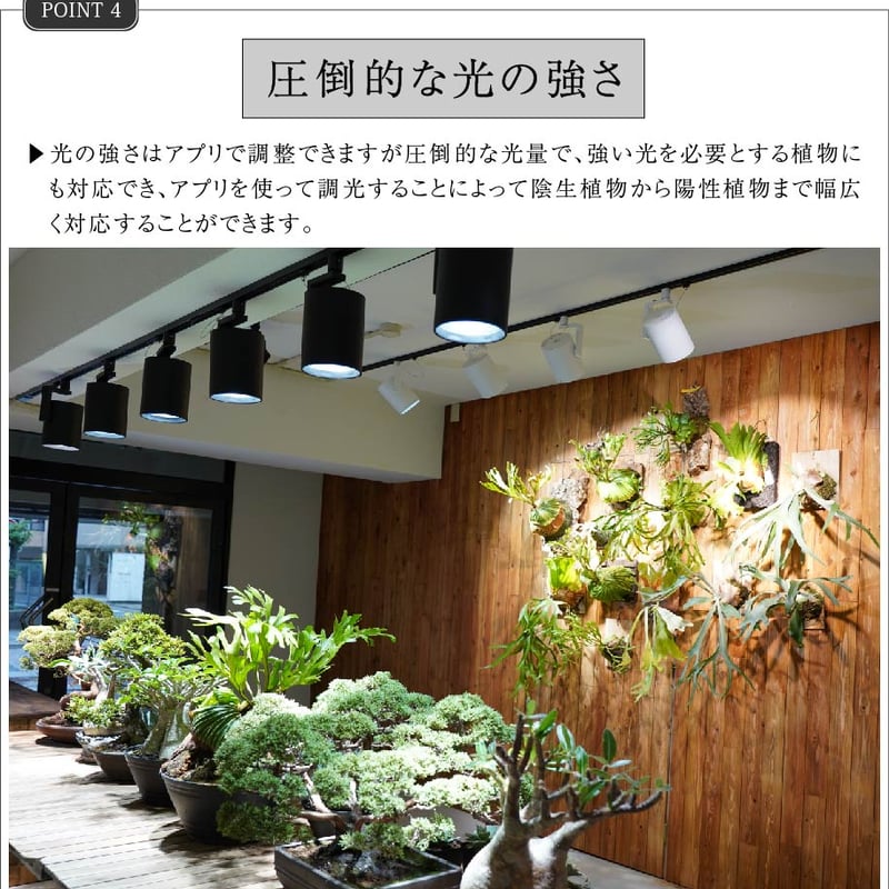 BARREL LED HADES【送料無料】 | Ducks ( plants. )