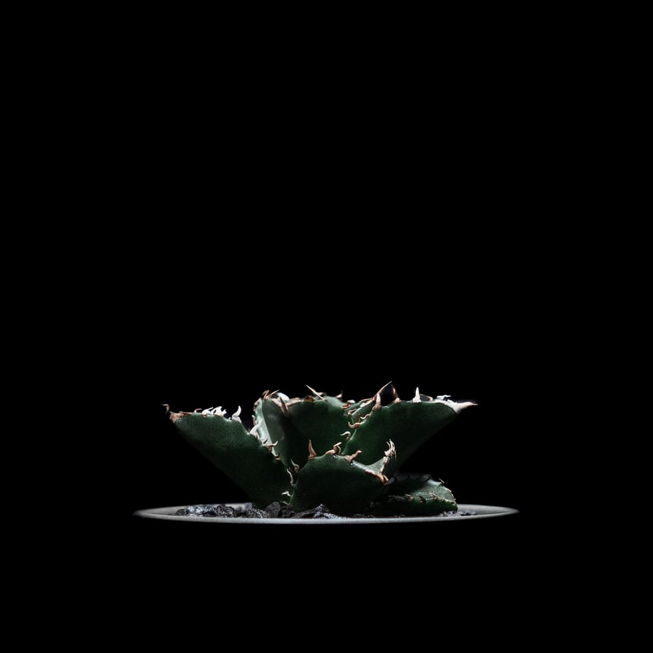 64ed60c98eae80002e275451