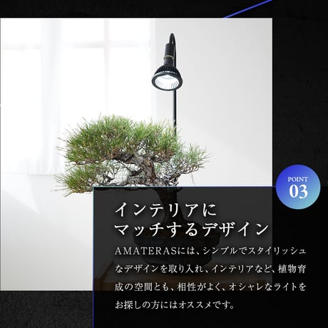 BARREL LED NEO AMATERAS 20W