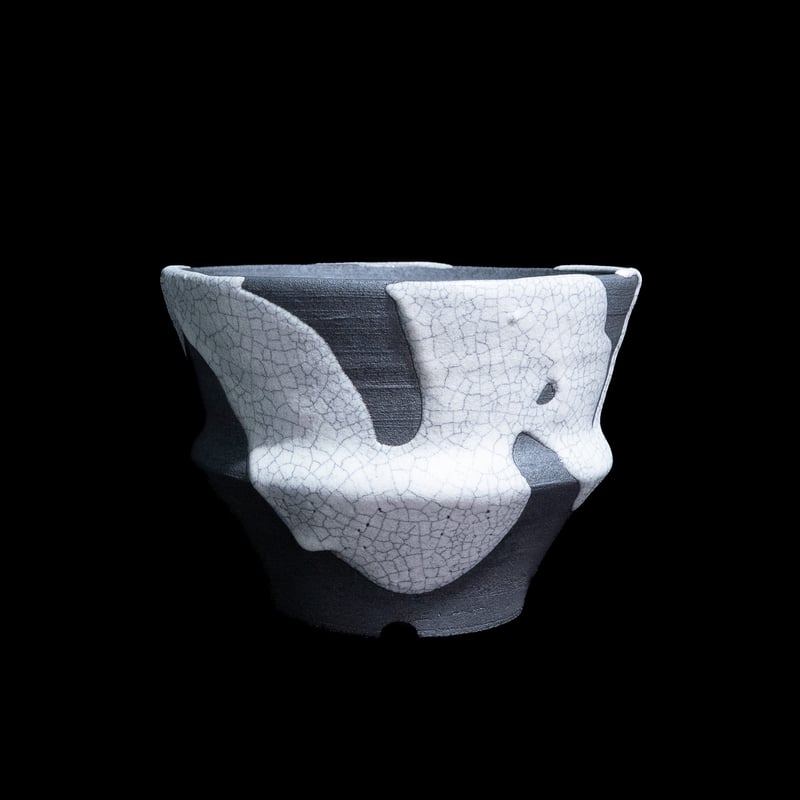 1点物のビカクシダ・ウインキーリキー白モダン陶器鉢入り 1点物のビカクシダ・ウインキーリキー白モダン陶器鉢入り