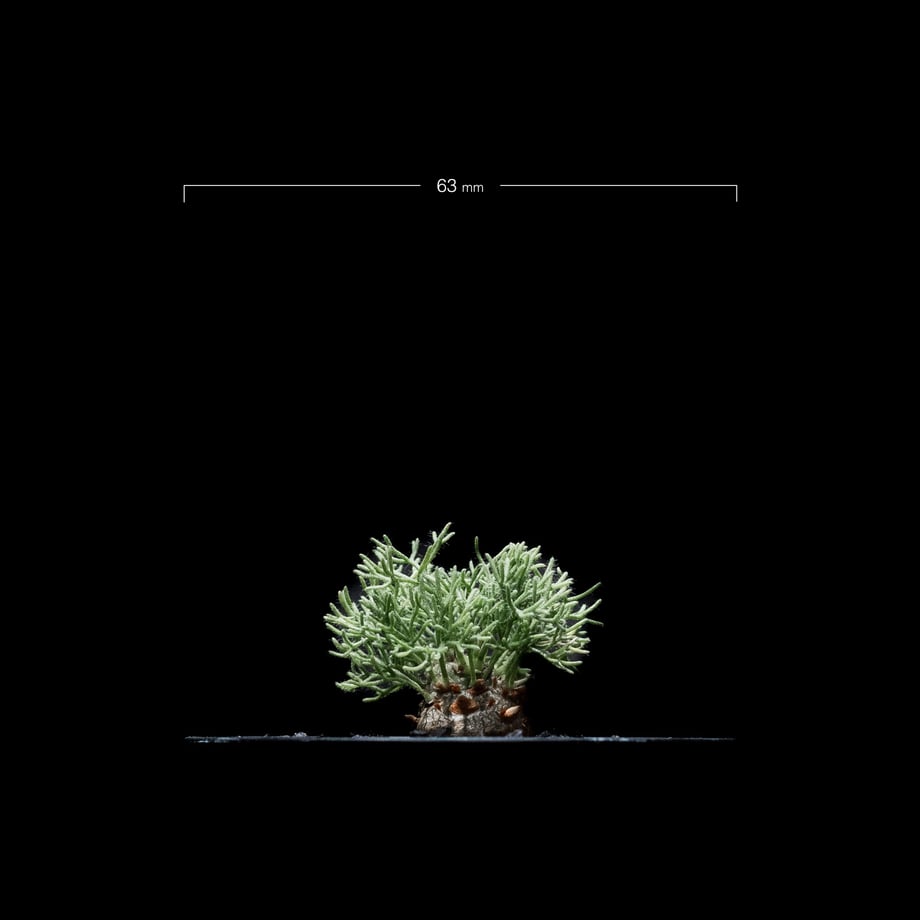 64eef6c56d097b002b6099b9