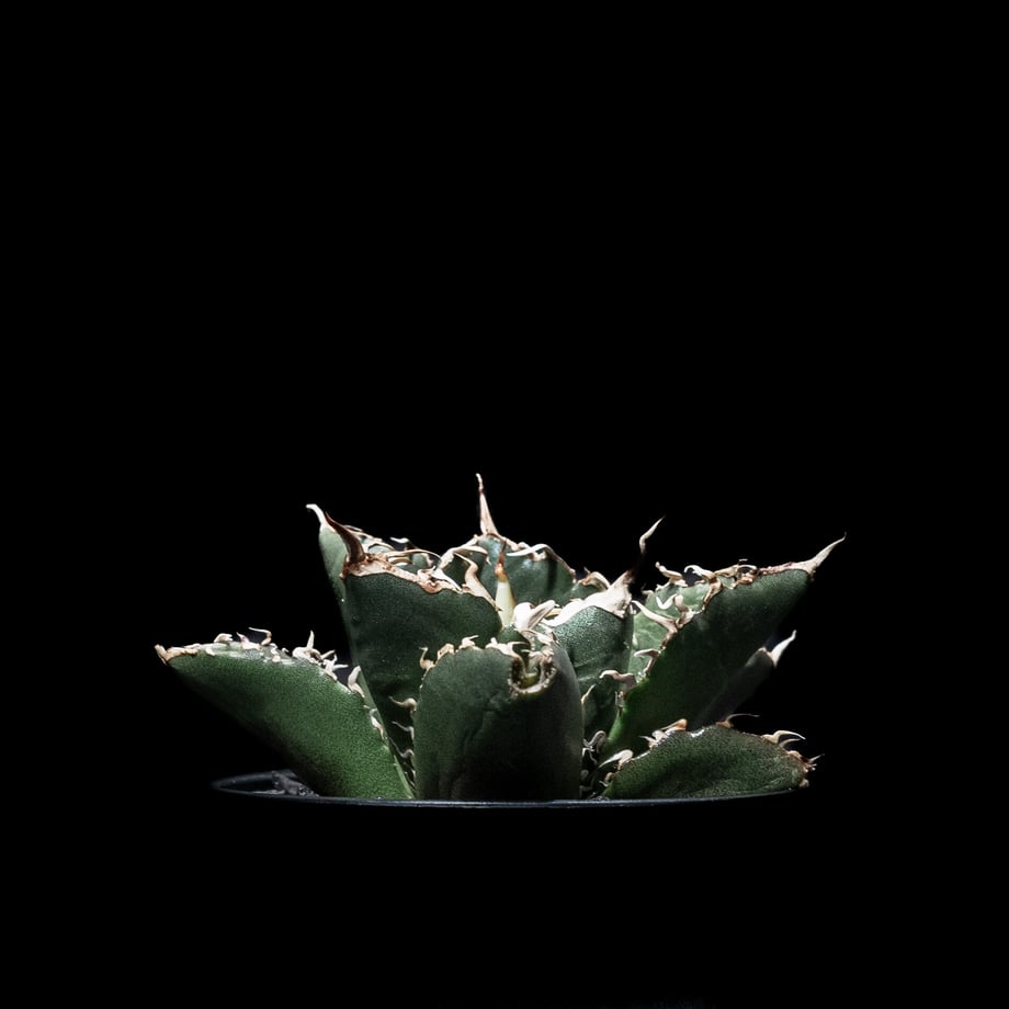 64f5852b6d097b003134b857