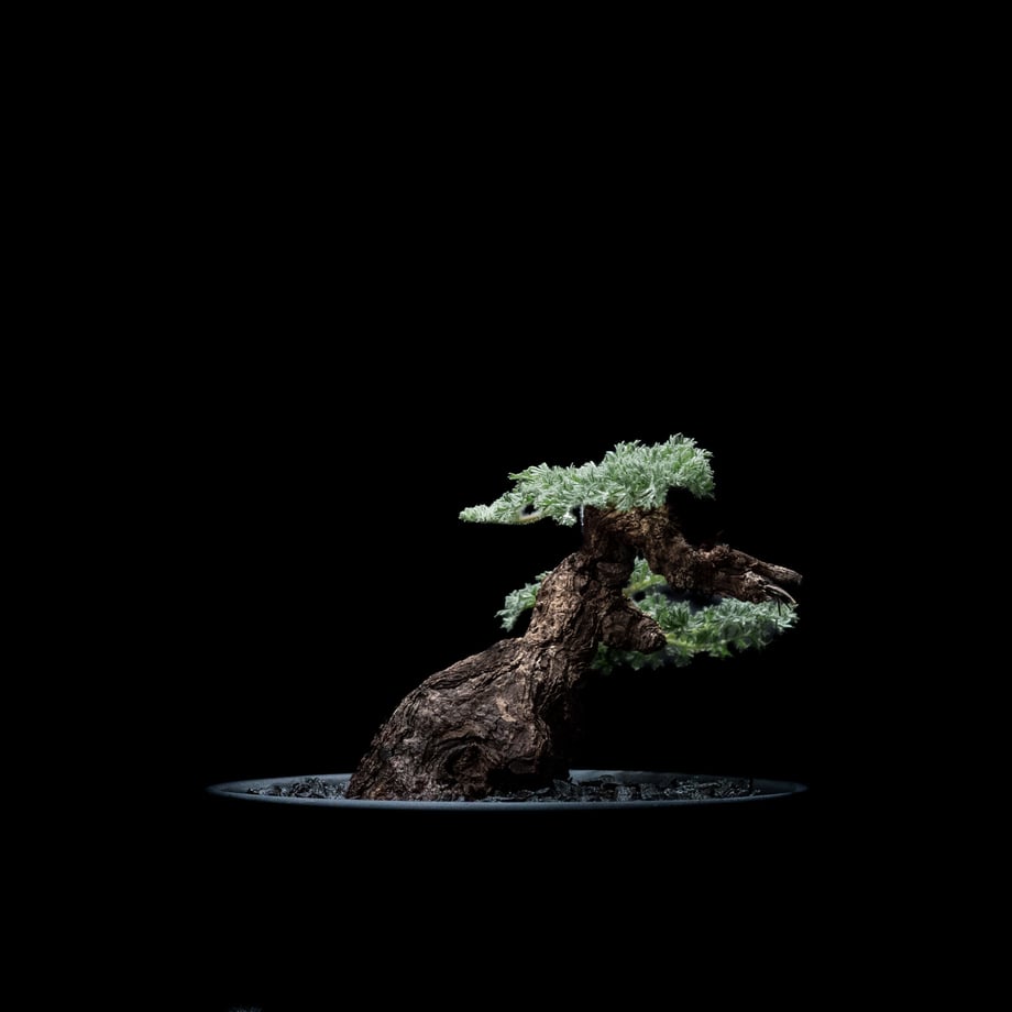 650cfe09b69459003165af21