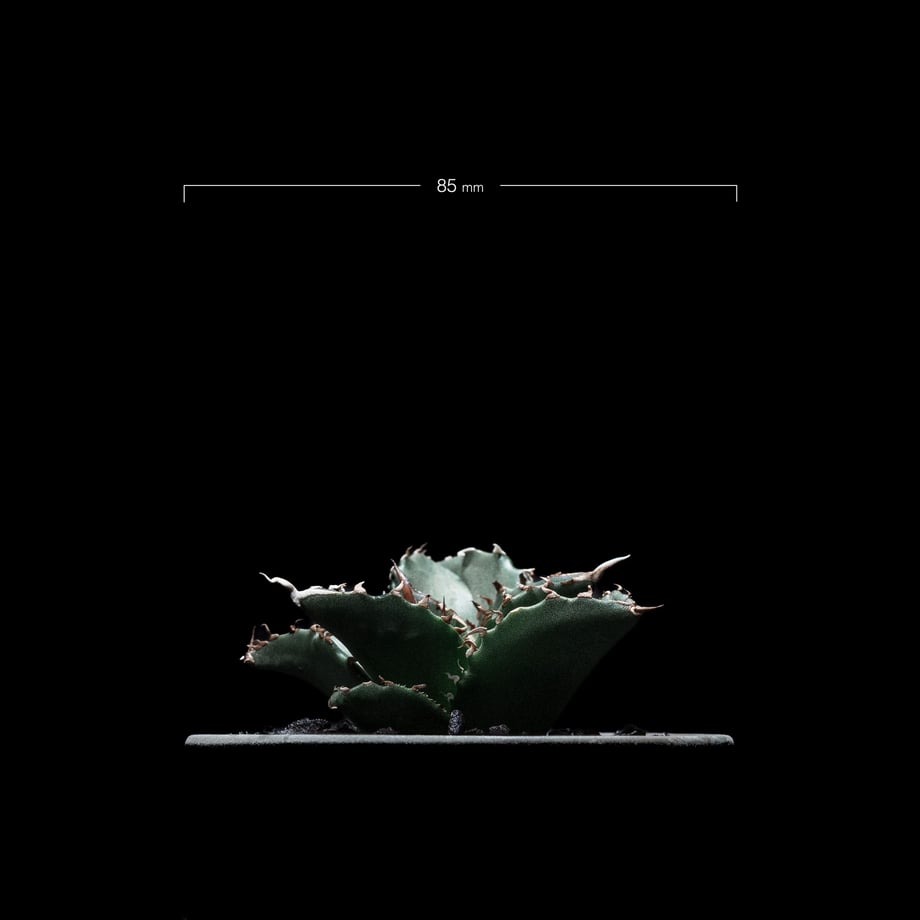 64ed60778eae80002b275456