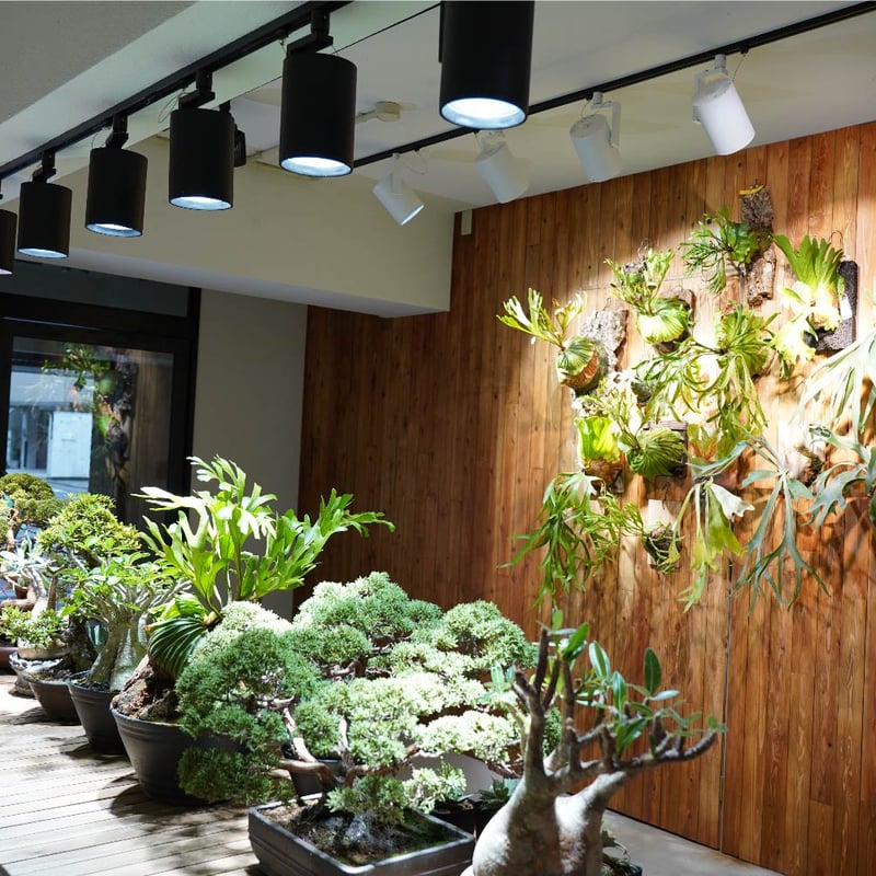 BARREL LED HADES【送料無料】 | Ducks ( plants. )