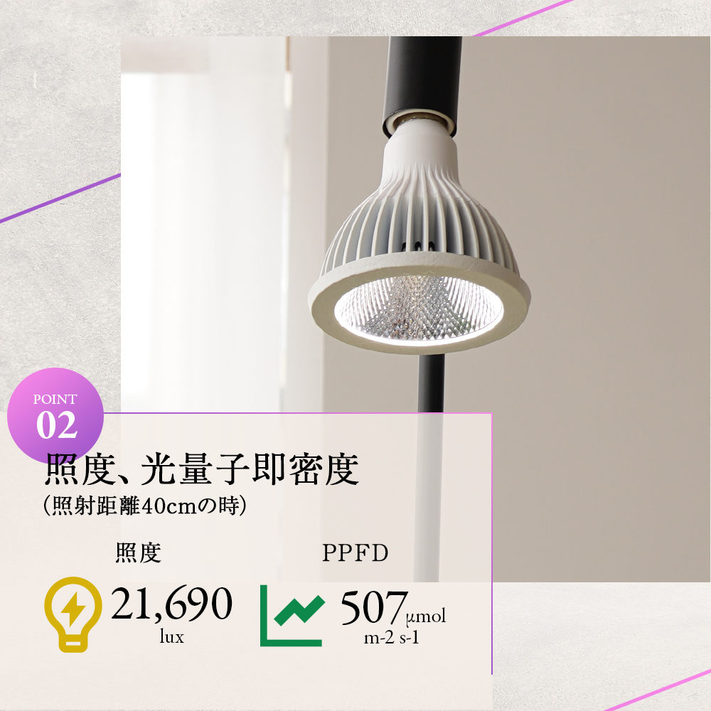 BARREL LED NEO TSUKUYOMI 20W | Ducks ( plants. )