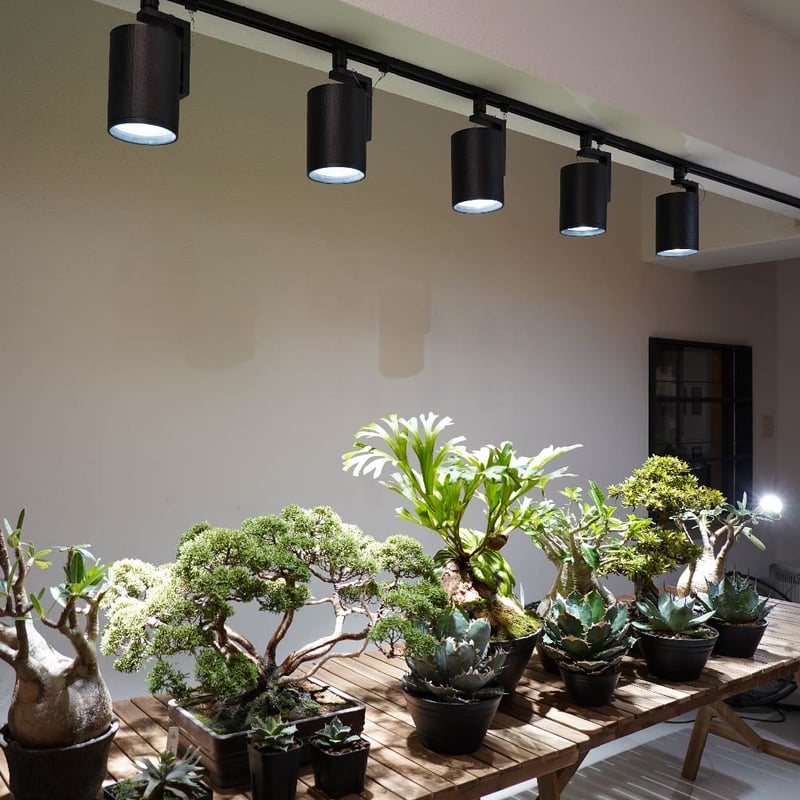 BARREL LED HADES【送料無料】 | Ducks ( plants. )