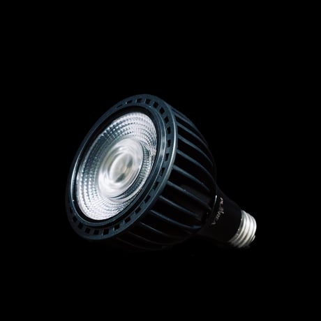 EverSun365 24W
