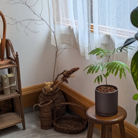 TOOLMARQ Desktop Planter Silver