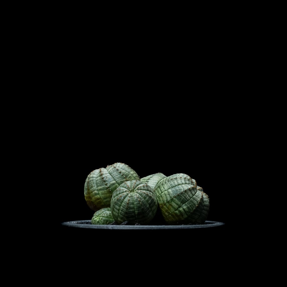 657c3851edfc4e003928f992