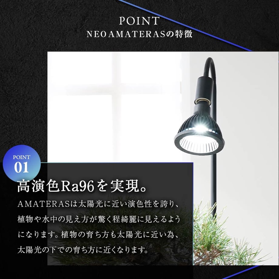65cb1718a0c07f01b54bdd44