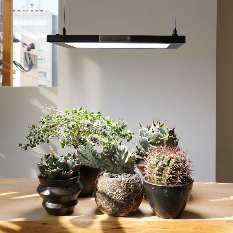 BARREL LED ROKI‐350【送料無料】 | Ducks ( plants. )