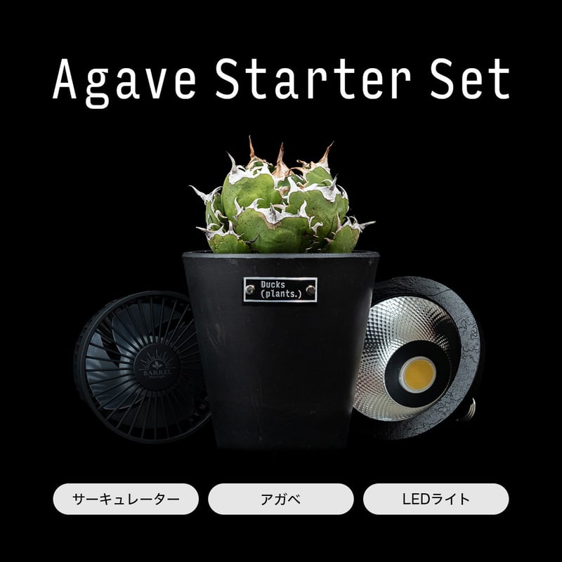 【国内発送】 plants. ( Ducks ) ) plants. ( Ducks | アガベスターターセット ライト・照明器具