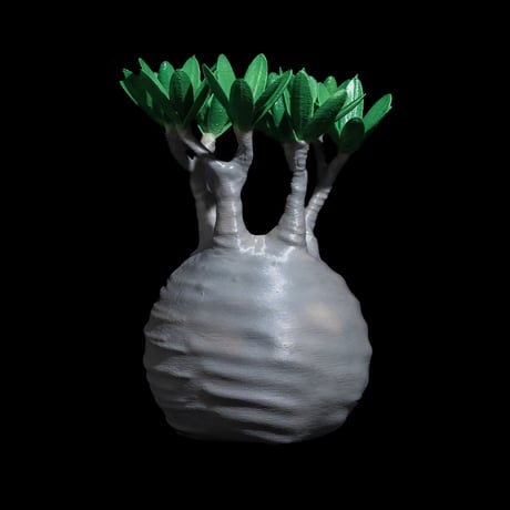 LOBINDON グラキリスフィギュアB フルカラー