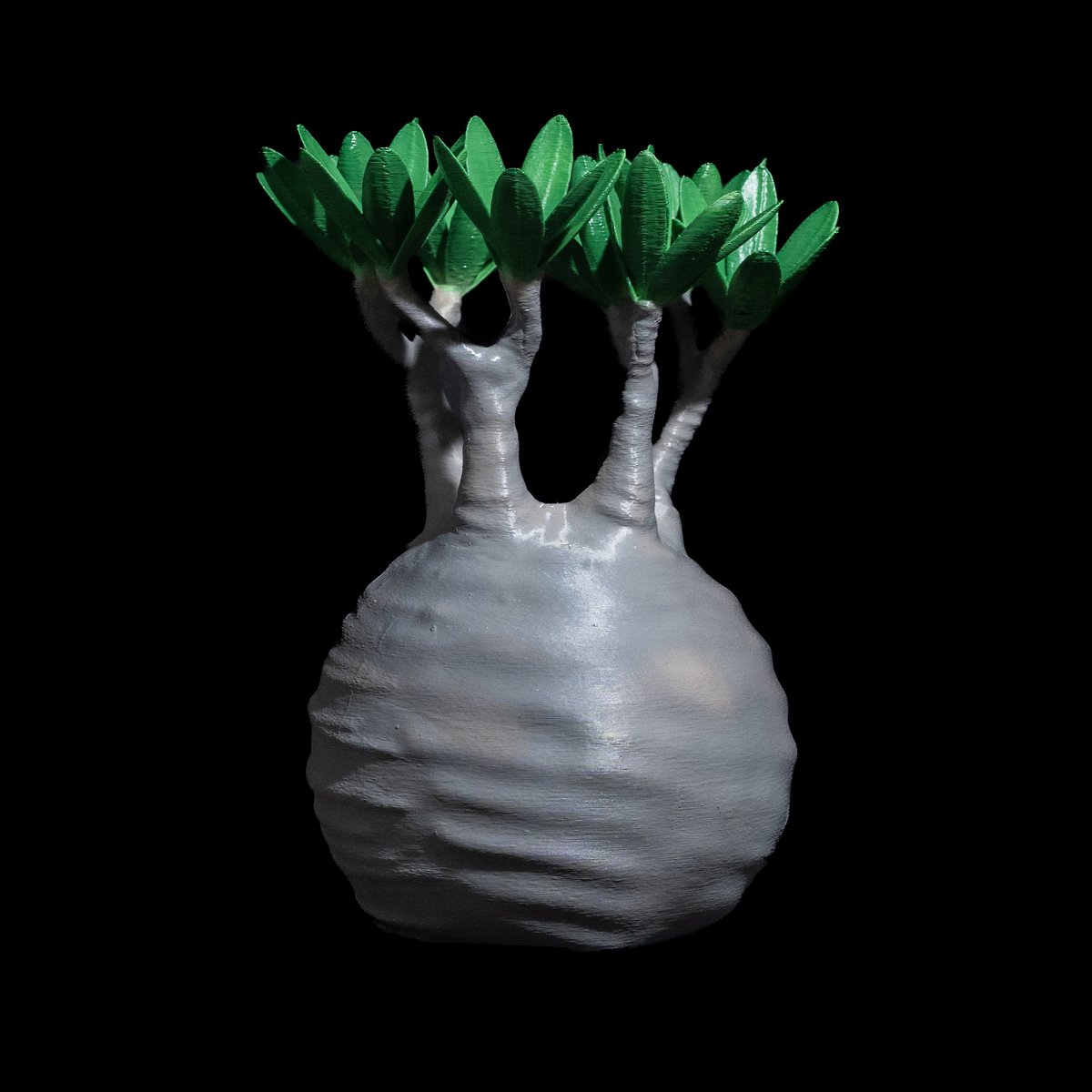 みやび鉢　lobindonフィギュア付　／カタチ製作所　グラキリス　パキプス LOBINDON グラキリスフィギュアB フルカラー | Ducks ( plants. )