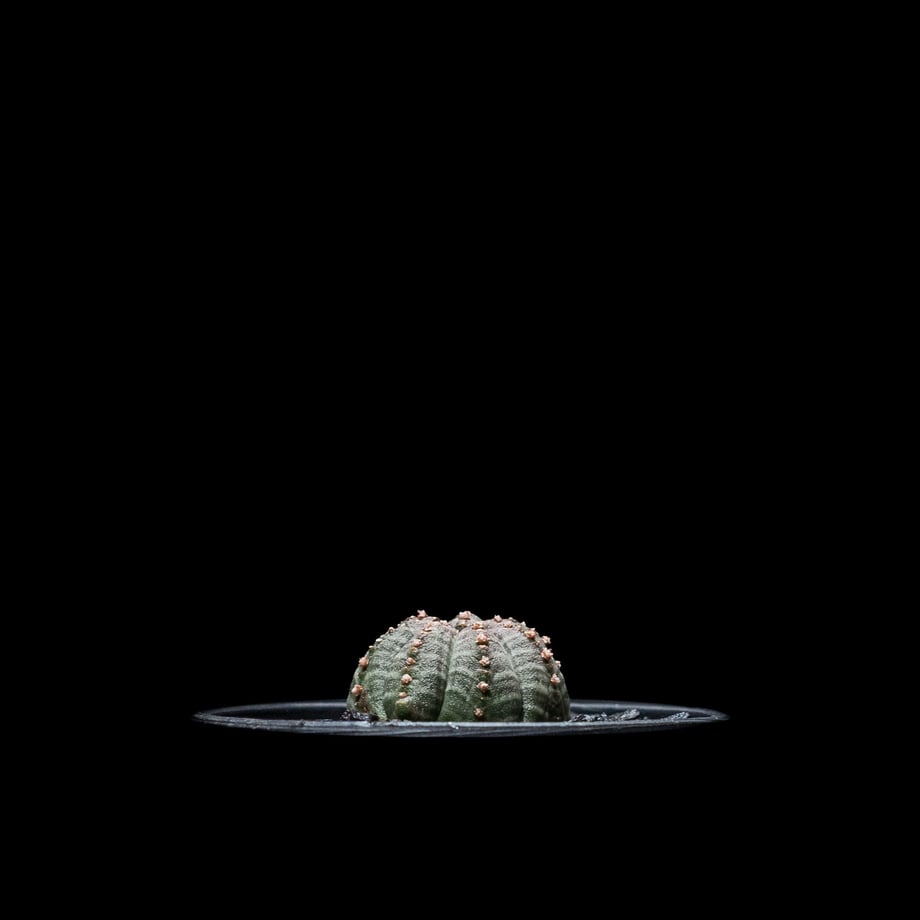 64f02c9206b01a004323e702