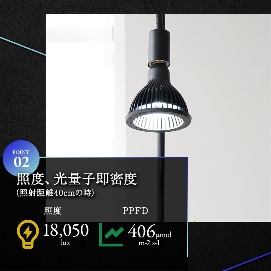 65cb1718a0c07f01b54bdd44