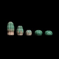 LOBINDON ミニチュア オベサ・アストロフィツムフィギュア