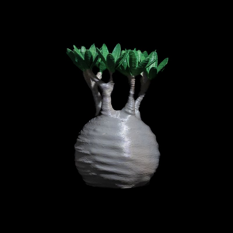 LOBINDON グラキリスフィギュアB フルカラー | Ducks ( plants. )