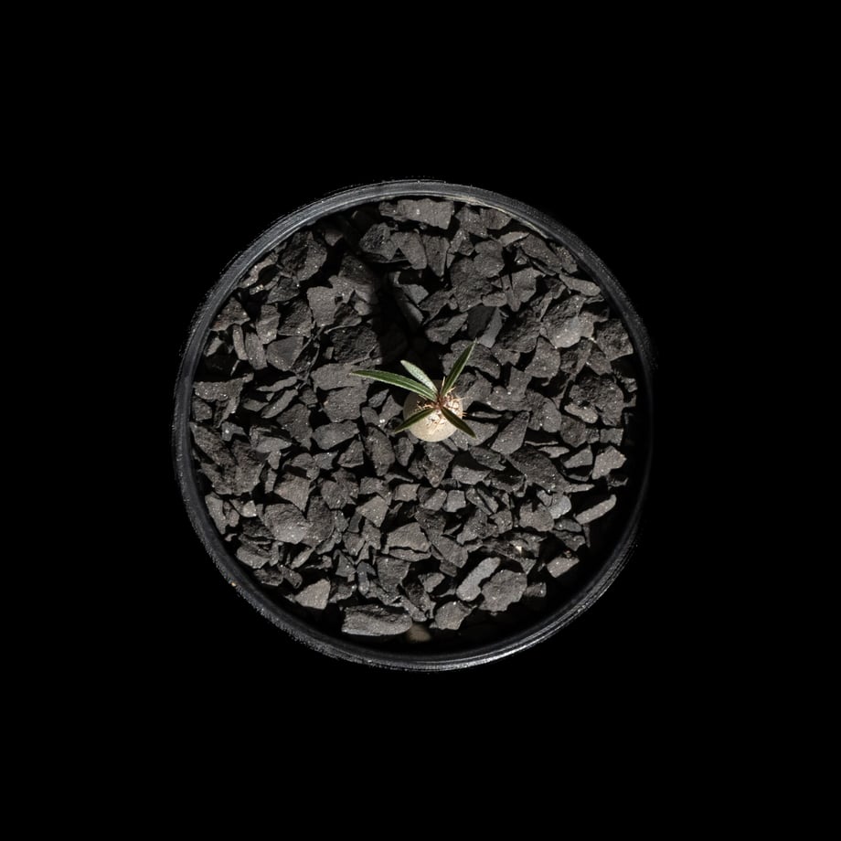 670dd914712e6e025014271a