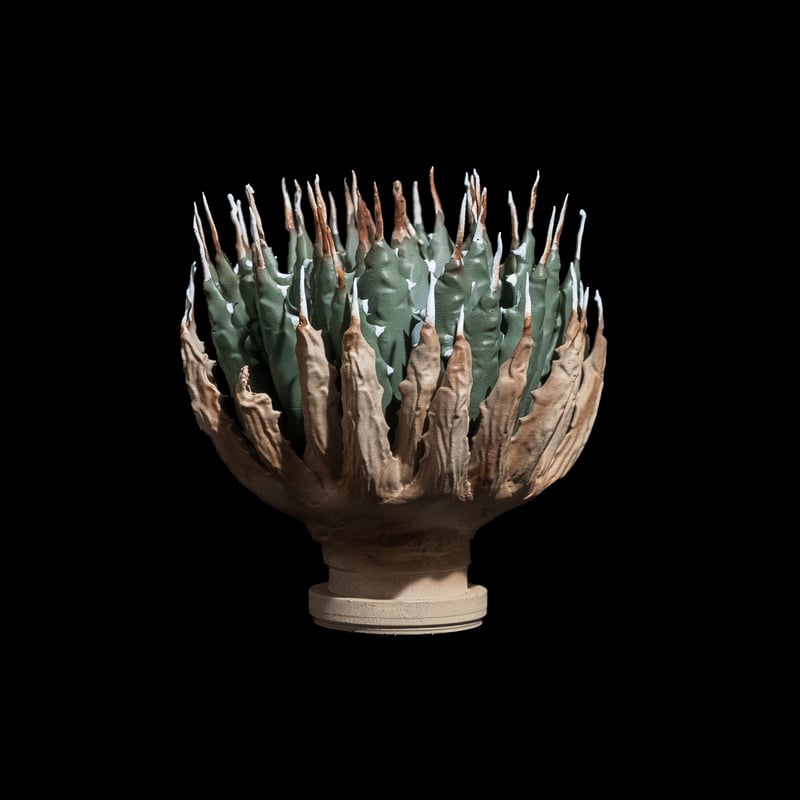 LOBINDON アガベフィギュア エボリスピナ | Ducks ( plants. )