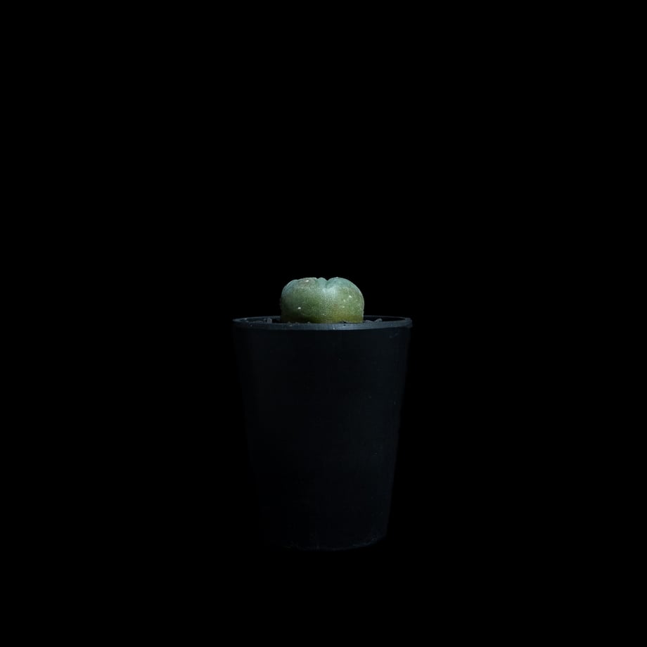 68a42d0e82a5097d39b2301d