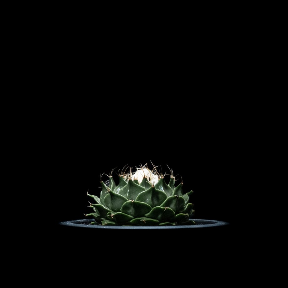 64f71ef0a3a20c002e19b05d