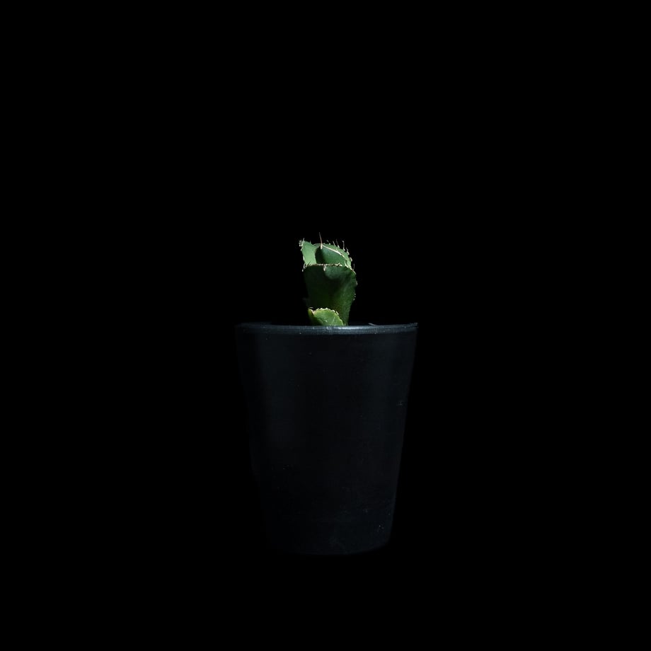 68c553f8f90f20e0aef5c34c