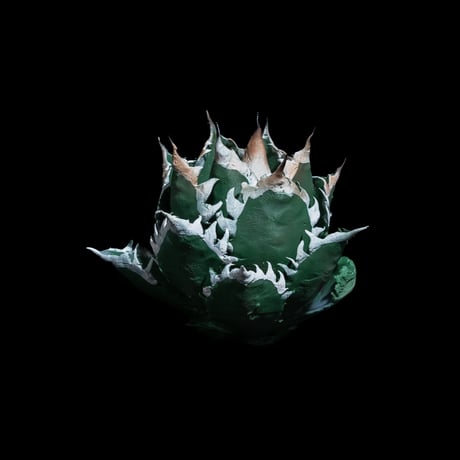 LOBINDON アガベフィギュア レッドキャットウィーズル