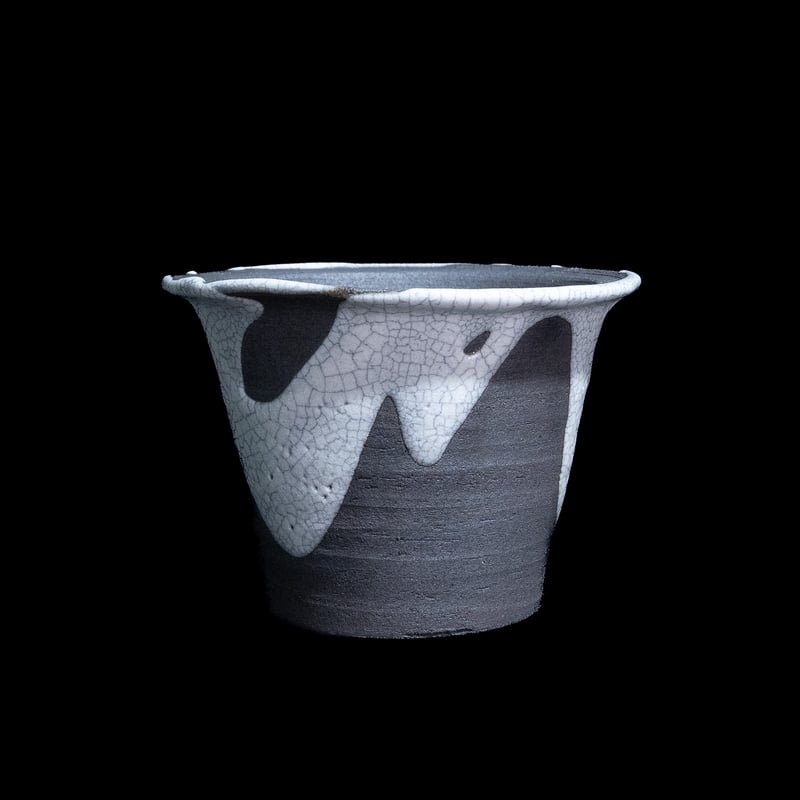 かみ山陶器 白マット貫入ツバ広 | Ducks ( plants. )