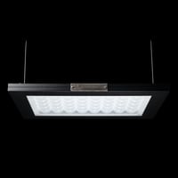 PLANTMILESTONE アガベ専用ライト Ultra+ | Ducks ( plants. )