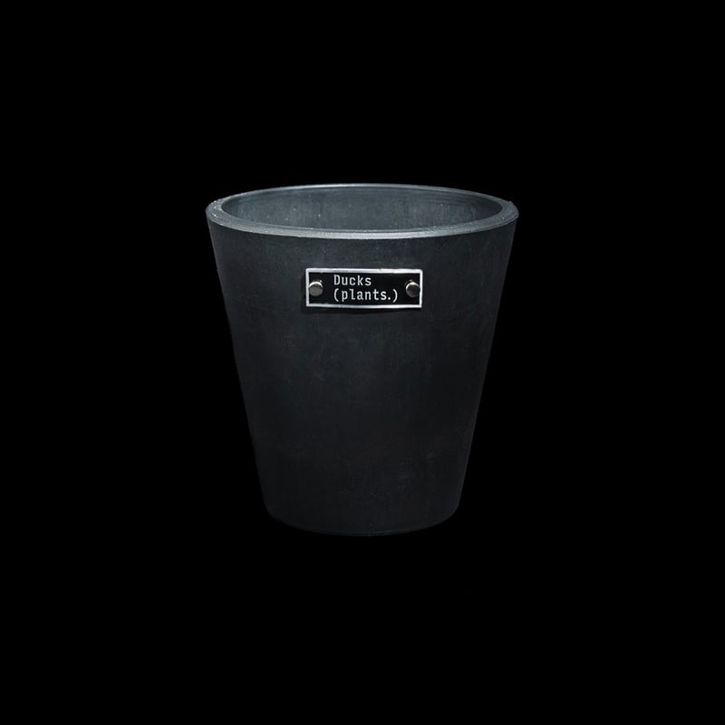 スポード　ウッドランド　大皿　大鉢　ウッドダック　2枚　レア　希少 スポード ウッドランド 大皿 大鉢 ウッドダック 2枚 レア 希少