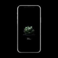 【スマホ壁紙】アガベ チタノタ ブラックアンドブルー (藍球)