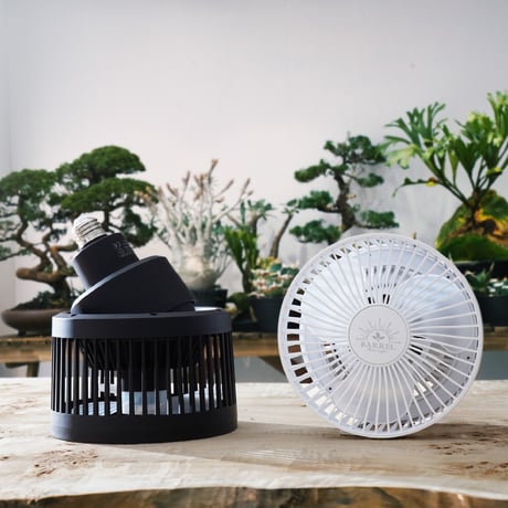 BARREL Circulator AECHMEA MOVE