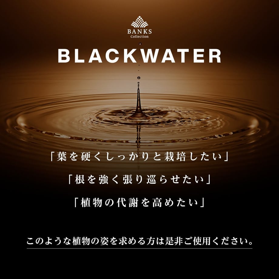 663f325bc650081b332c9e07