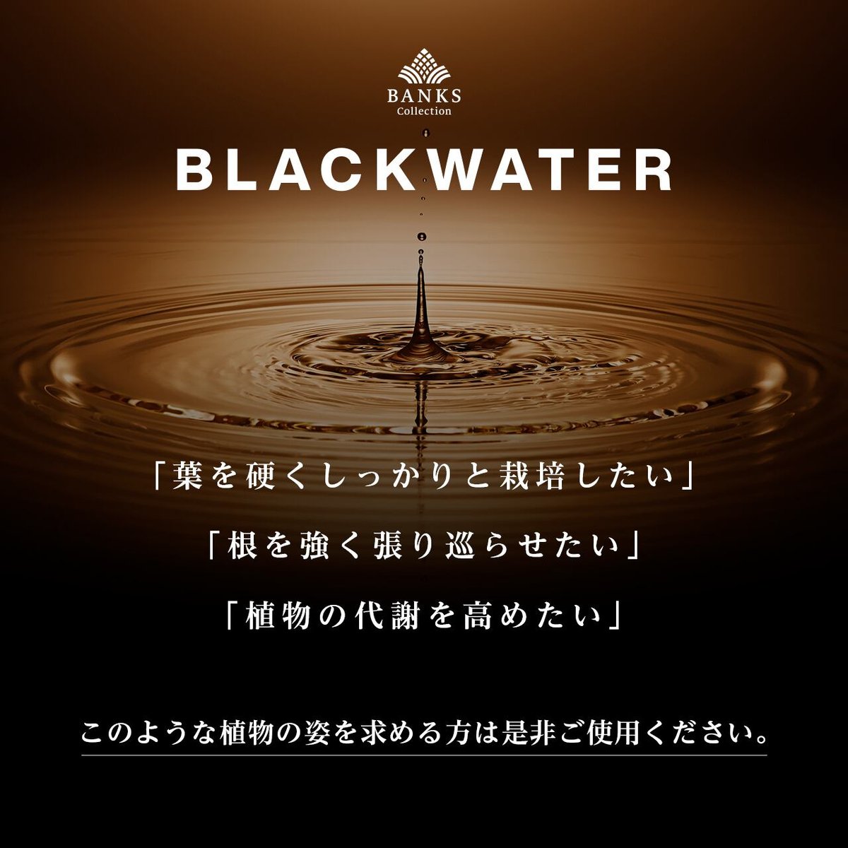 BANKS Collection BLACKWATER® 50ml | Ducks ( pla