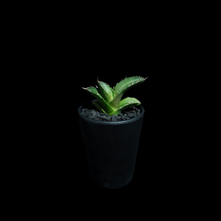 68c553f8f90f20e0aef5c34c