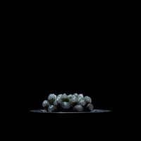 ハオルチア 紫オブツーサ / Haworthia ‘Murasaki Obutusa’