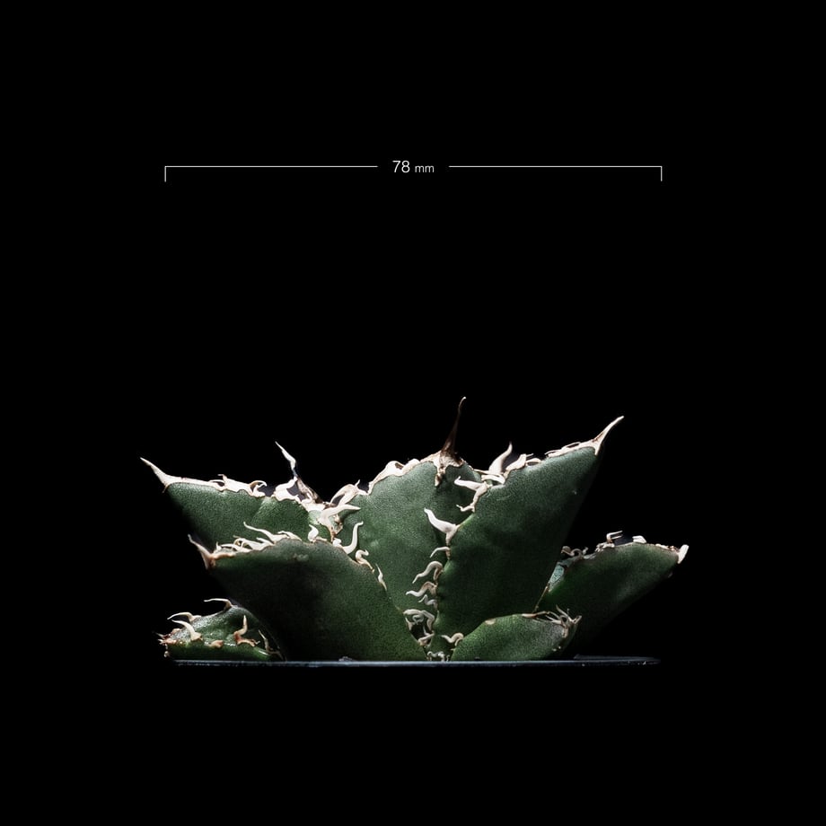 64f5852b6d097b003134b857