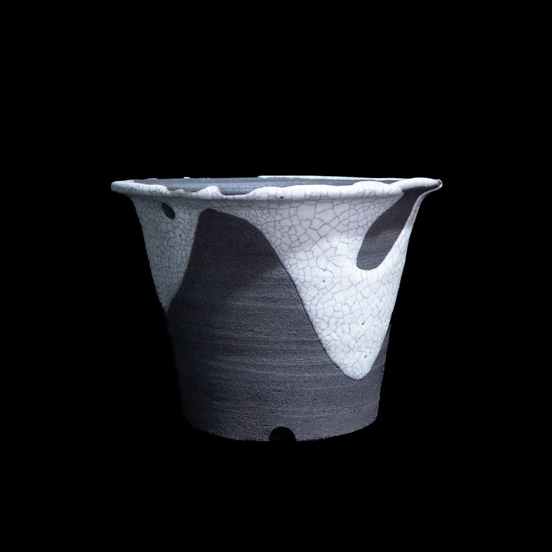 かみ山陶器 白マット貫入ツバ広 | Ducks ( plants. )